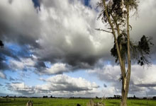 中国男篮国家队最新赛程官宣了吗？都有哪些重要赛事？