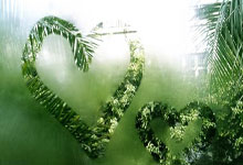 中国男篮世界杯预选赛赛程是怎样安排的？